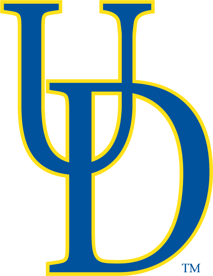Delaware Blue Hens 1999-2009 Primary Logo DIY iron on transfer (heat transfer)